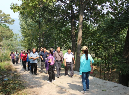 德科綠色行 德科綠色行